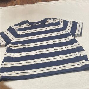 Madewell Blue and White Striped Crop Top